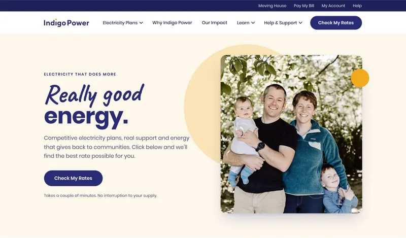 The Indigo Power website